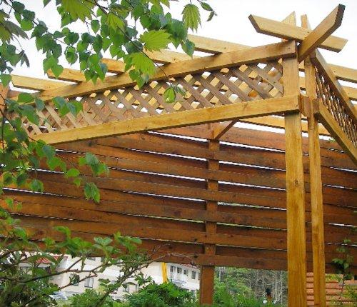 Campehapio Прозрачная древесина Защита от насекомых, плесени, водорослей и древесины Сделано в 00237643551140 Краска, на масляной основе, цветная, защита, репеллент, консервант,