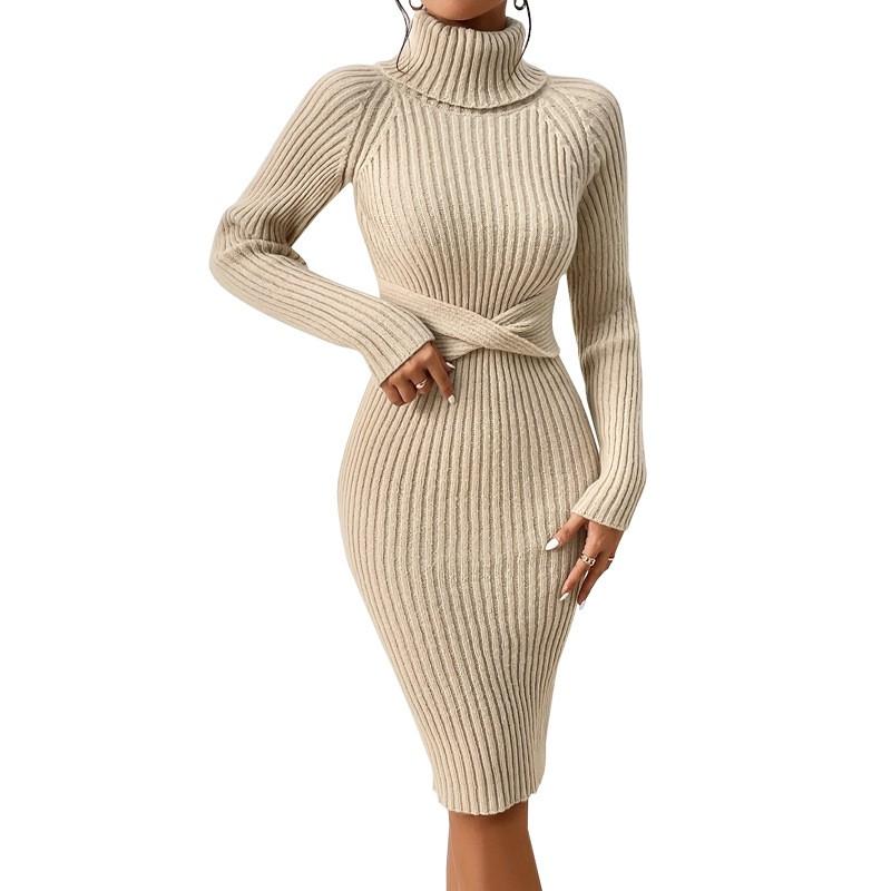 Womens High Neck Slim Fit Knit Sweater Dress Solid Color Long Sleeve Casual Chic Outfit
