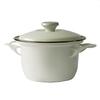 Fuji Enamel Double Handed Pot Casserole Enamel IH Compatible Cocotte with Lid 16cm Ivory C IV EX-16