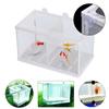 Useful Rearing Net Breeding Isolation Box Hatchery Grow Seed Holder Aquarium Incubator Breeder