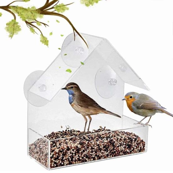 House Shape Bird Feeder with Suction Cup Acrylic Food Case Hummingbird Feeder Pet Supplies