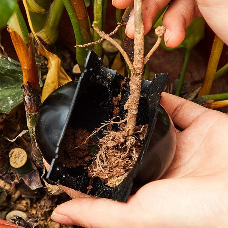 5Pcs Plant Rooting Ball Breeding Plant Root Pot Garden Cutting Grafting Rooting Box Breeding Seedling Balls Gardening Supplies
