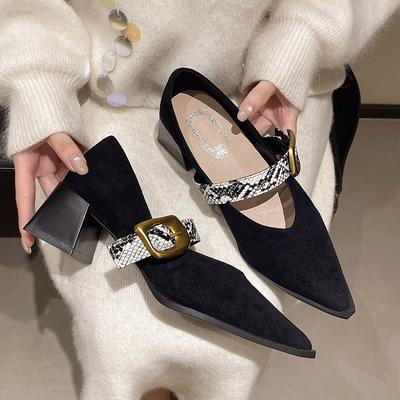 Французские туфли Мэри Джейн на толстом каблуке женские осень 2025 новая модель с пряжкой на одном ремешке и мелким вырезом рабочие профессиональные туфли на высоком каблуке