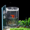 Floating Floating Fish Breeding Isolation Box Transparent Fish Isolation Box  for Clownfish Betta