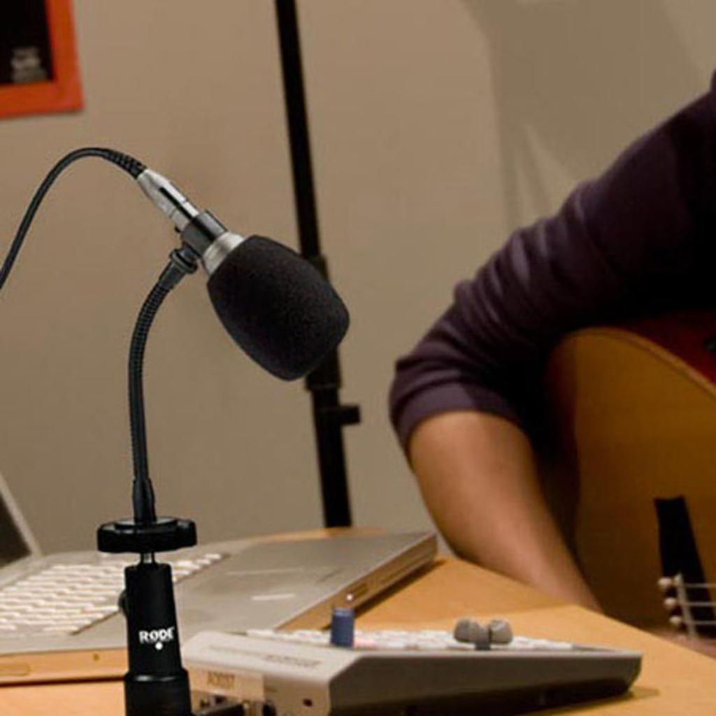 RODE Microphones GN1 Микрофонная стойка типа «гусиная шея» для NT6