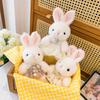 Xiaoxiangfeng Sitting Rabbit Plush Toy Cute Princess Dress Little Rabbit Rag Doll Girl Gift