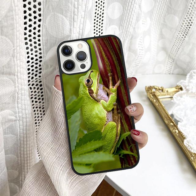 Забавная лягушка на листе Чехол для телефона для Samsung Galaxy S10 S22 S23 S24 Note 10 20 Lite S20 Plus S21 Ultra Задняя крышка