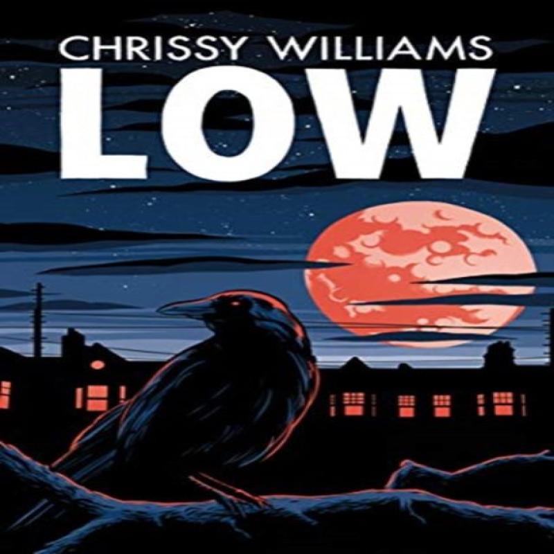 Low by Chrissy Williams Paperback Book 9781780375649