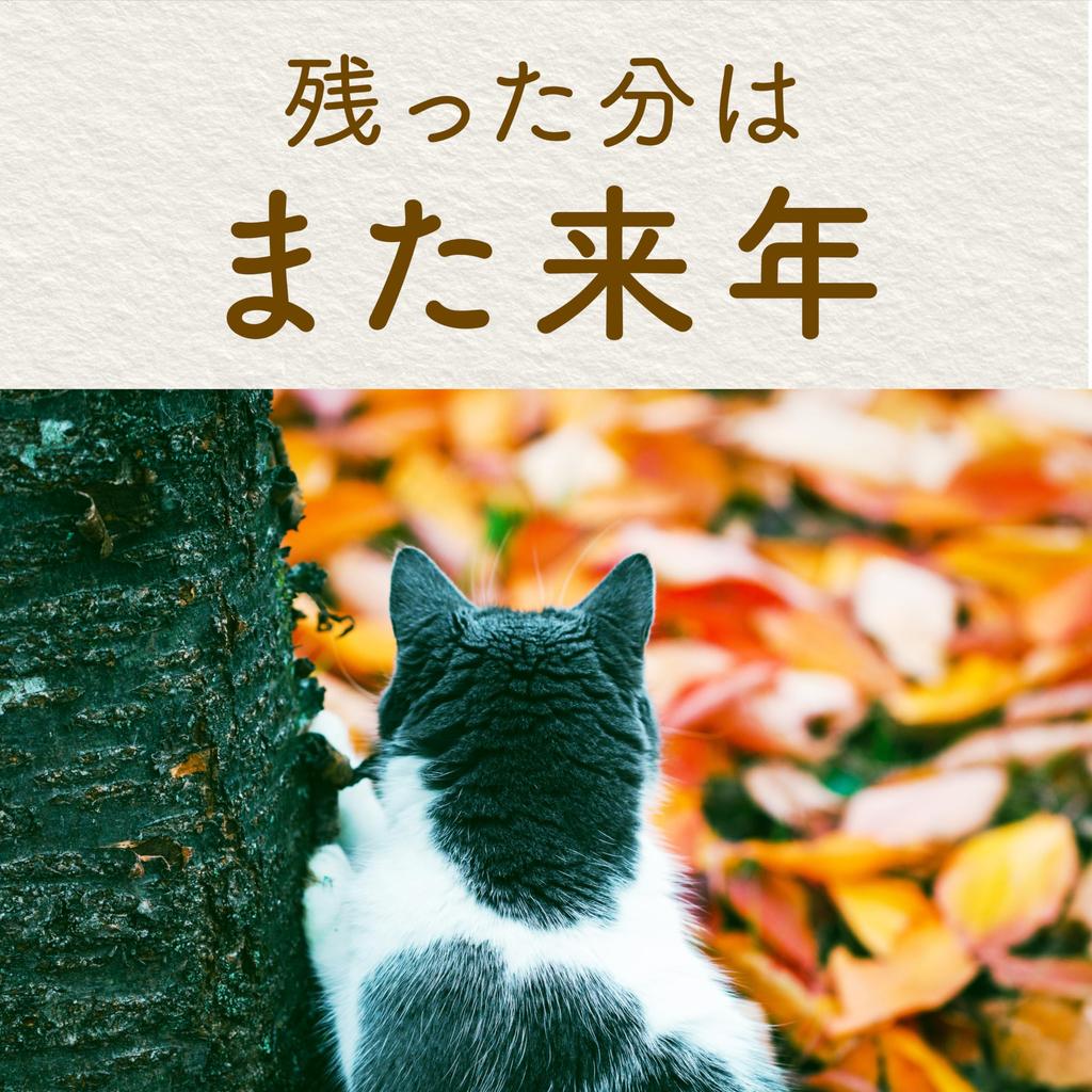 Earth Mosquito White Mosquito Use Set No-Mat Repellent, 360-Day Use, Silver, Indoor/Outdoor Use, Control, Fragrance-Free, 180-Day (2 Units)