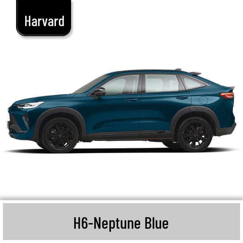 Карандаш для подкраски Haval H6 Cool Dog, Черный Spot & Ruixue Белый Краска для ремонта царапин