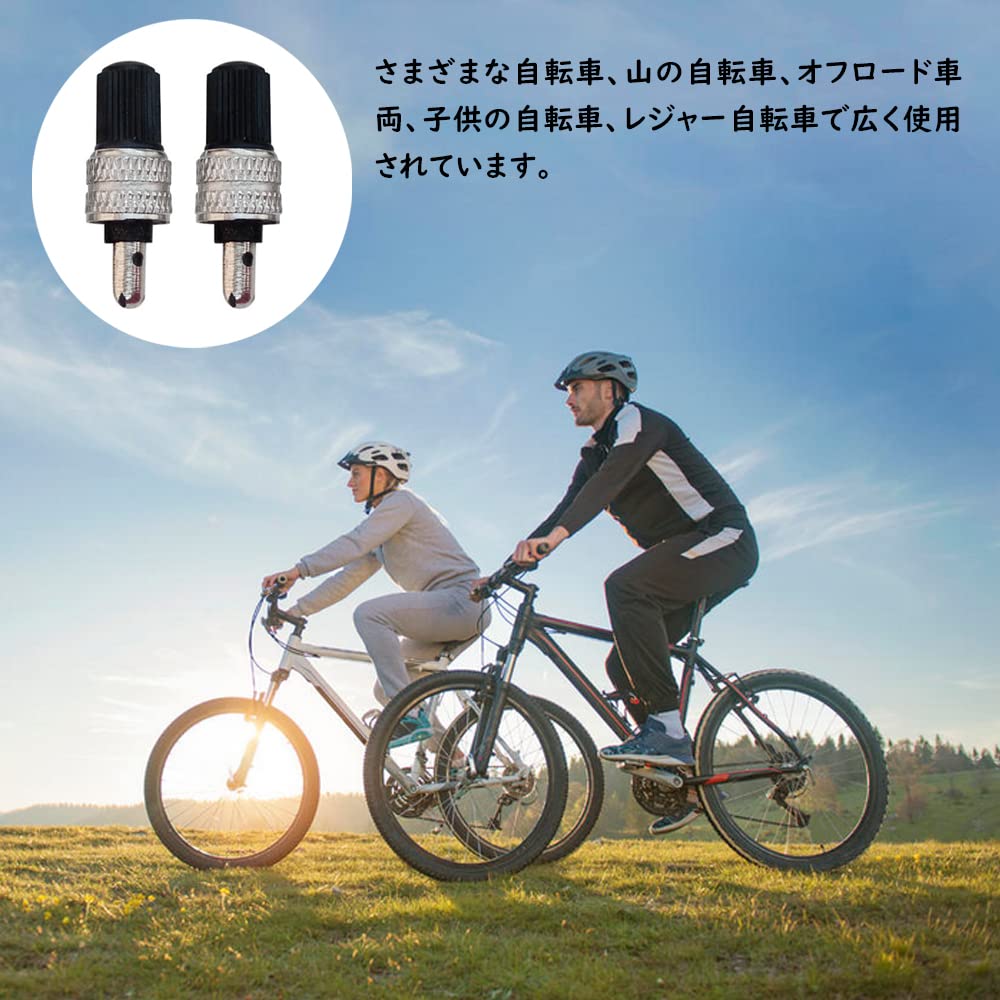 Samcos Bicycle Air Valve Core Set of 10 Valve Не требуется резина от насекомых Термостойкий Морозостойкий Легкий воздушный насос Легко заменяется Bicycle Assist