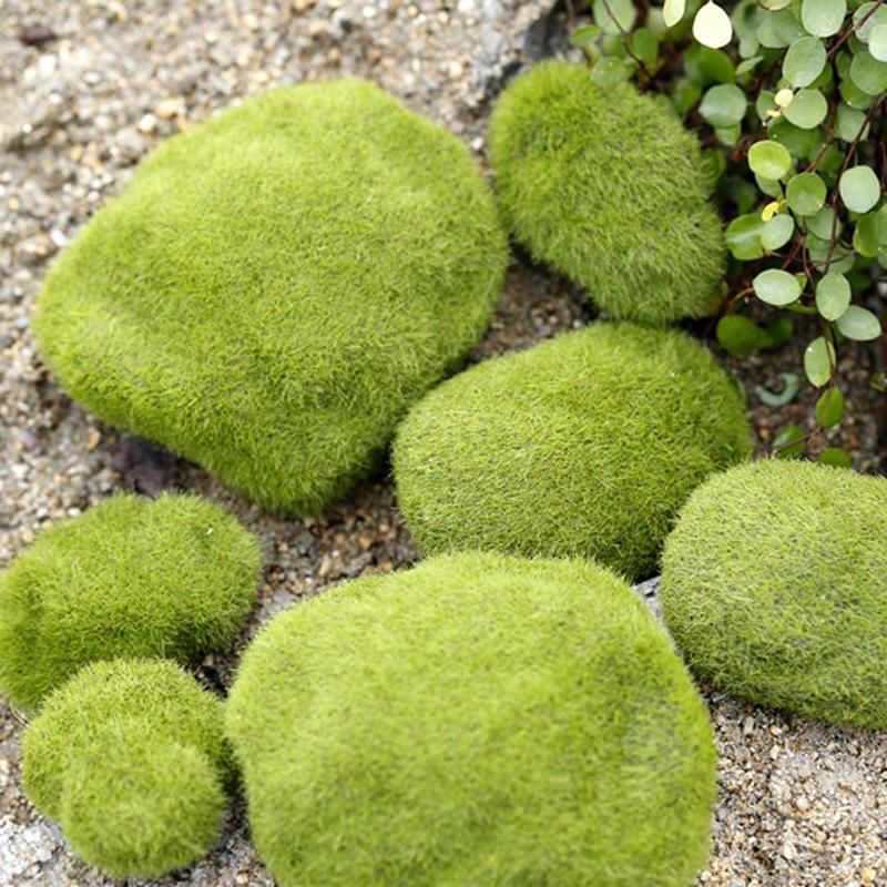 2/4/5/8/10 шт. микропейзаж мох зеленая трава фигурки миниатюрные украшения для мини DIY сказочный сад аквариум моделирование статуя ремесло