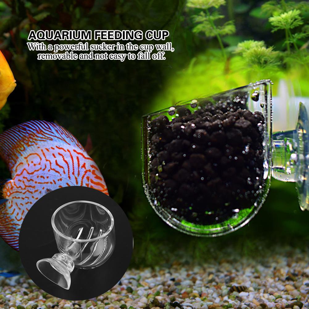 Прозрачная акриловая кормушка для рыб, красная кормушка для червей для аквариума