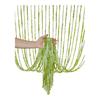 Spiral String Door Curtain Decorative Tassel Curtain Wall Panel Room Divider Fringe Screen Blind for Home Living Room Bedroom