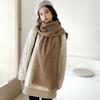 Imitation Cashmere Scarf Female Autumn and Winter Trendy Female Warm Plaid Scarf Fringed Sweet Scarf Shawl