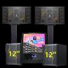Домашняя KTV система Matsukawa SP2-11 с 10-дюймовыми колонками, штекер CN (адаптер в комплекте)