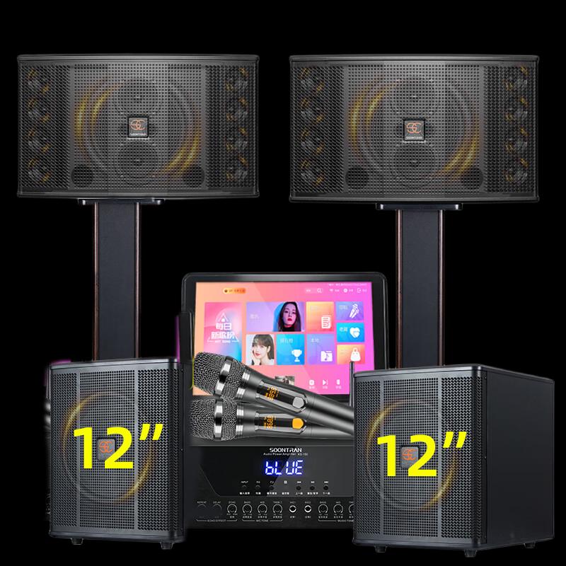 Matsukawa SP2-11 Home KTV System with 10-inch Speakers CN plug (adapter included)