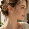 Exquisite Zircon Earrings Crystal Leaf Flower  Earrings Evening Flower Stud Earrings  Party