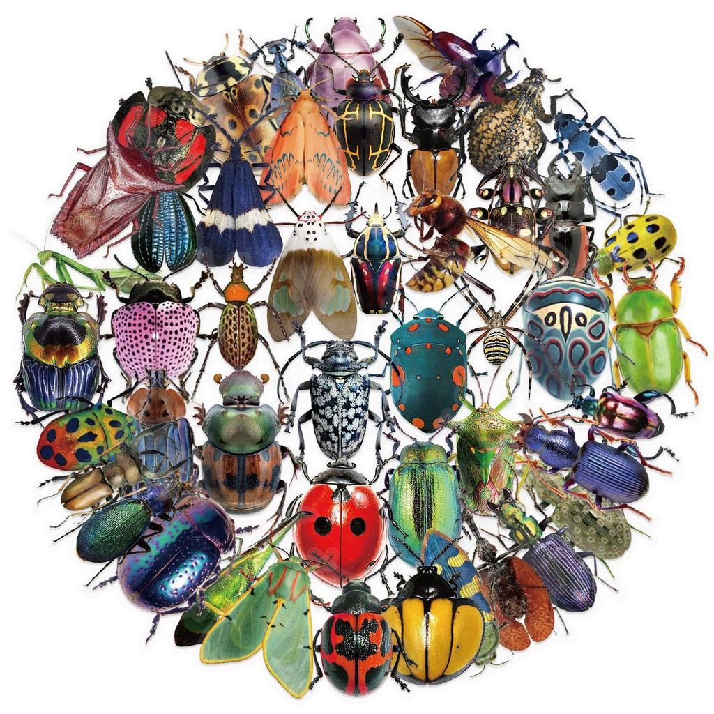50PCS Transparent Cartoon Insect Sticker Pack - Waterproof Clear PET for Scrapbook Guitar Notebook Decor RecordingYourLife Store