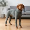 Breathable Dog Recovery Suit Elastic Full Coverage Dog Clothes Dog Anti-shedding Suit  Daily Wear
