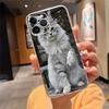 Чехол для телефона Для iphone 17 Pro Max Air 16 15 14 13 Pro Max 15 16 Pro 15Plus Мейн-кун Кот