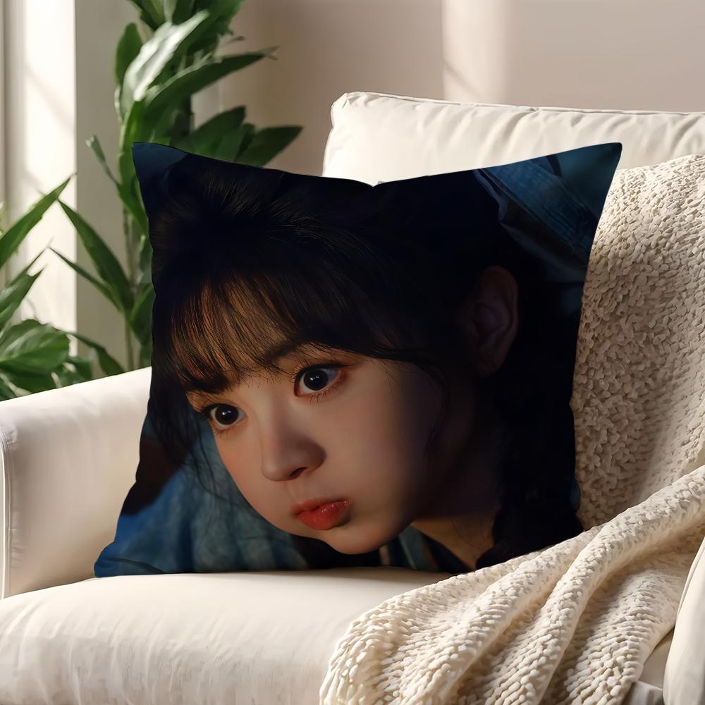 TV Pursuit of Jade Fan Changyu cushion cover For Pillow Printing Sofa Decoration Home Room Coffee Shop Office Nordic Simplicity