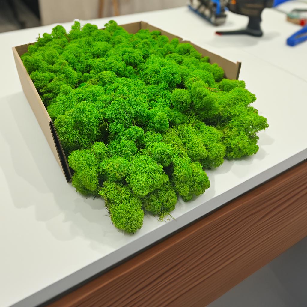 Reindeer Moss - Finnish - Cleaned - Light Green - 500G Net