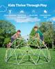 VEVOR Climbing Dome, 305cm Geometric Dome Climber, 453kg Loading Jungle Gym Playground with 2 Basketballs & Octopus Net