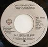 7-дюймовая пластинка КРИСТОФЕР КРОСС - Скажи, что будешь моей / Кружение WBS49705 Warner Bros. Ре 1980 Канада Рок Б/У