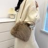 Autumn and Winter New Furry Bag Fur Crossbody Shoulder Strap Plush Bag Versatile Large Capacity Handbag for Women