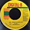 7-дюймовая пластинка ANTHONY B - All What's Going On NONE Digital-B 2003 США Регги, Ска и Даб Б/У