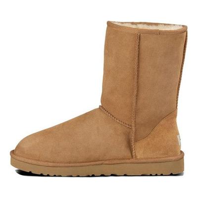 Классические Короткие Ботинки Кештан Кроссовки 5800-CHE