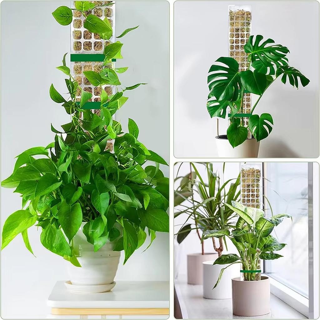 Moss Pole Plastic Plant Stand Indoor Climbing Plants Tutors Pot Moss Stick For Plants Growth Garden Support Accessories