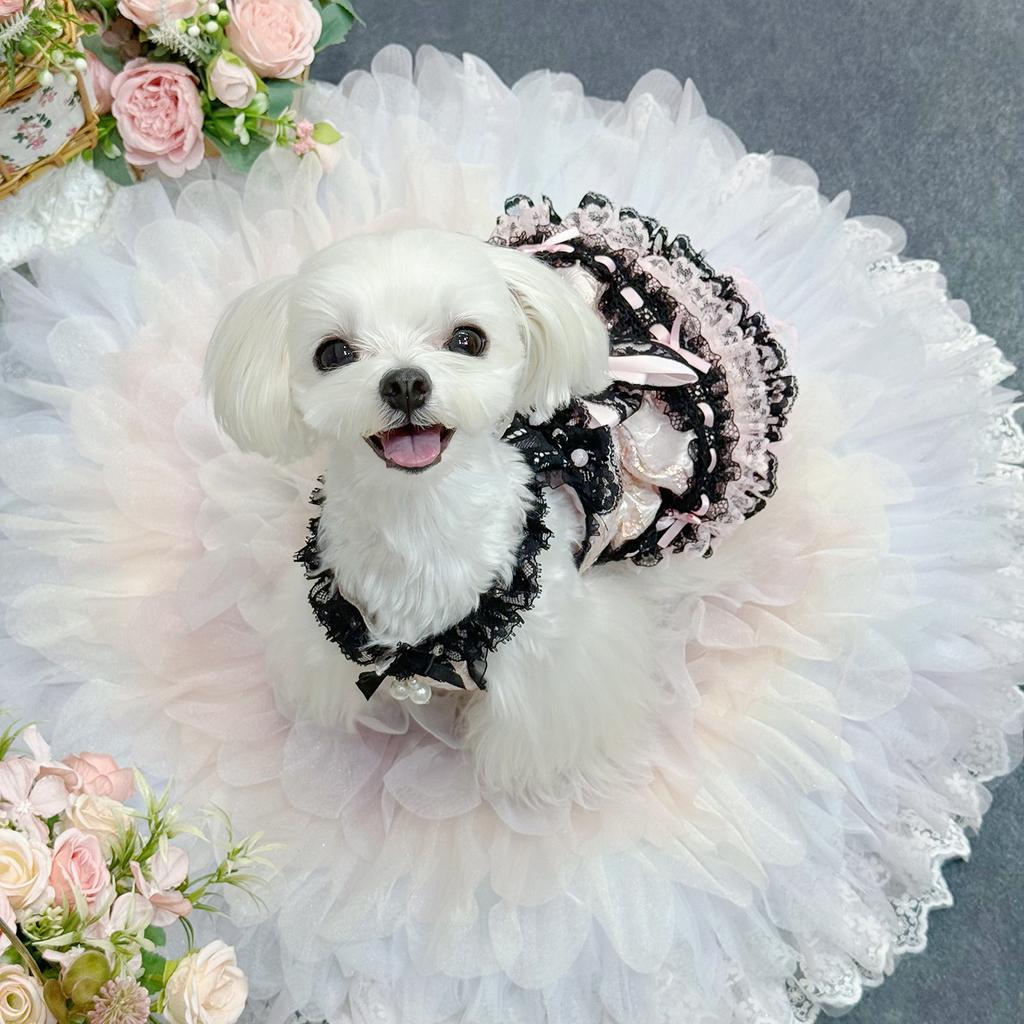 Luxury Spring Autumn Handmade Dog Cat Dress Pink Black Dot Lace Skirt European Palace Gown Pet Photography Apparel Unique Design