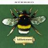 CD BLUETONES - Slight Return BLUE003CD Superior Qualit 1996 US Rock Used