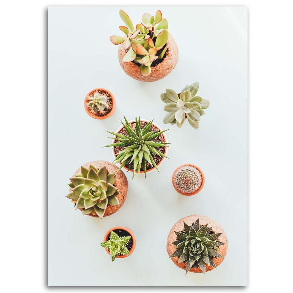 Canvas print, Plants in a pot