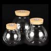 Remote-Control LED Glass Bottle Planter: Hydroponic Micro-Ecosystem with Light