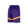Nike Баскетбольные шорты мужские темно-фиолетовые DZ3722-504