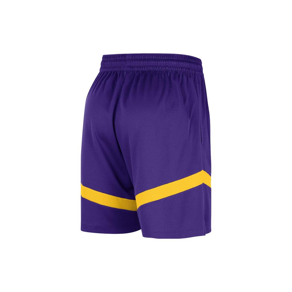 Nike Баскетбольные шорты мужские темно-фиолетовые DZ3722-504