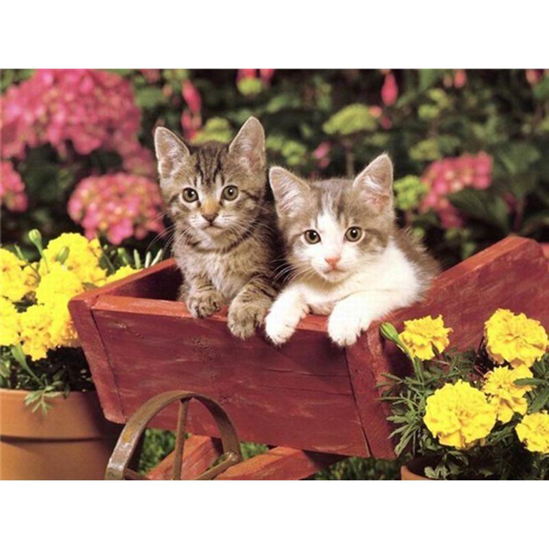 5D DIY Алмазная картина Набор Цветок Кошка Искусство Алмазная вышивка Стразы Украшения для дома