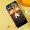 Милый Лис Осенью Чехол Для Samsung Galaxy M31 M32 M12 M52 M21 M15 M55 M56 M36 M16 M06 M13 M33 M53 M14 M34 M54