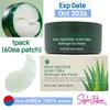 Real Squeeze Aloe Vera Hydrogel Eye Patch (1pack / 60ea Patch)