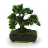 PLATZ THE BONSAI Square Pot Pine Tree Finished Product BONT02 1/12 [Black]