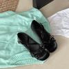 Black Retro French Flat-soled Single Shoes Women's 2025 New Spring Shallow Mouth Ballet Versatile Skirt Mary Jane Shoes