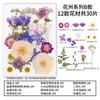 Набор натуральных сушеных цветов для DIY-искусства из эпоксидной смолы с засушенными цветами