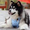 Корги собака карман на животе водонепроницаемый средний и большой собачий слюнявчик маленький ароматный ветер живот одежда для питомца