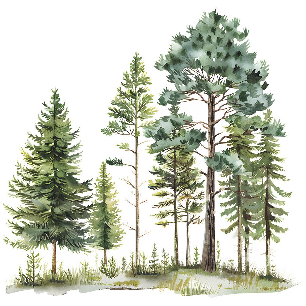 Акварель Сосна Кедр Сосна Спальня Гостиная Фон Ландшафтный Дизайн Декоративные Наклейки На Стены