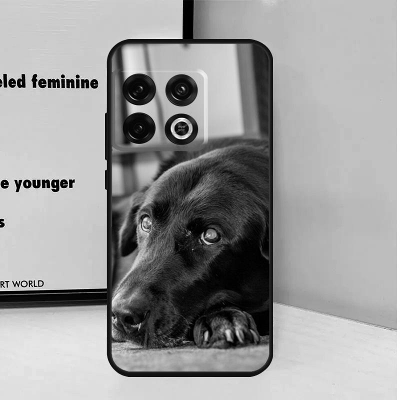 Black Labrador Dog For OnePlus Nord 5 CE 4 3 Lite N20 N30 Case For OnePlus 15 12 13 11 9 10 Pro 10T 12R 13R 13T