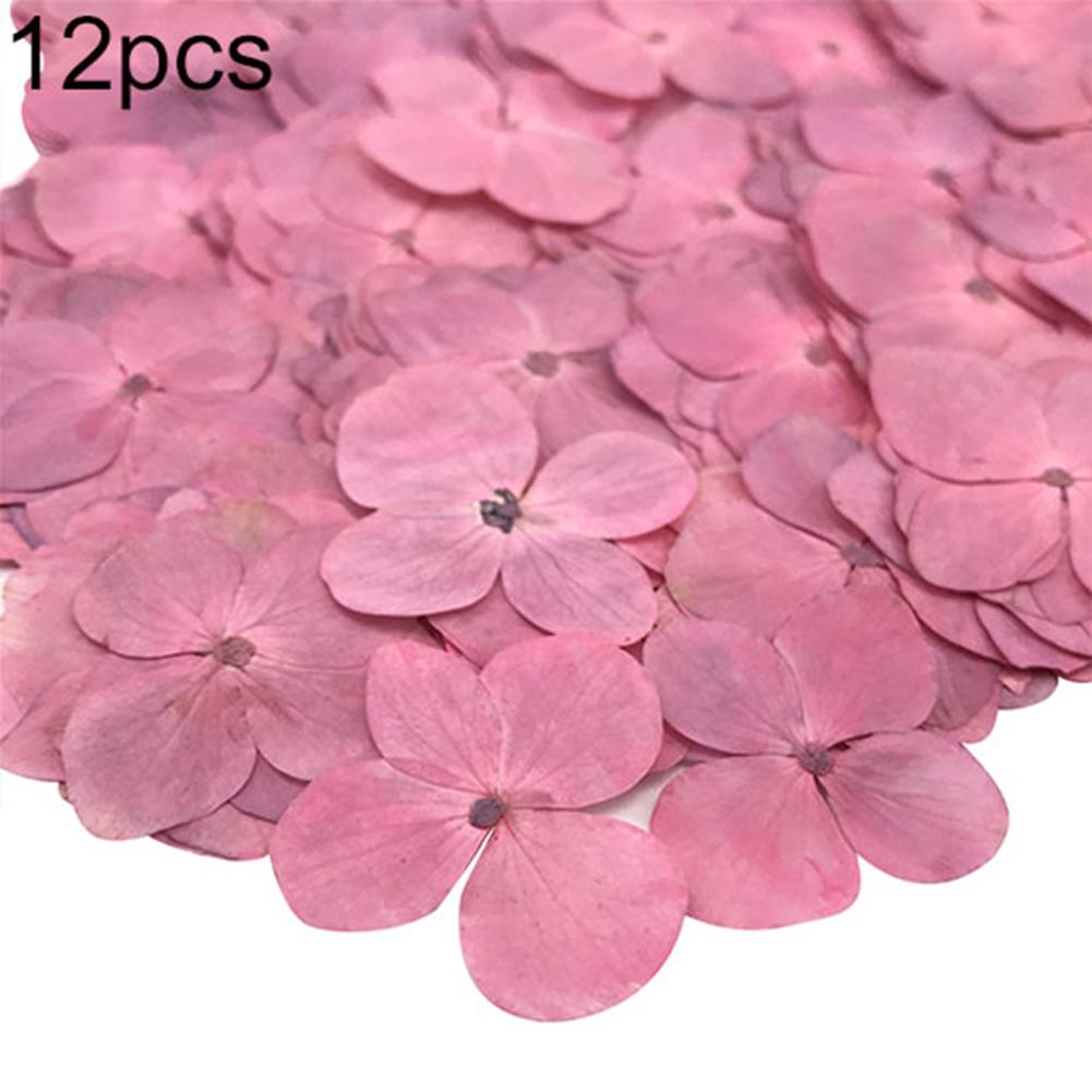 Yousheng Dried Flower 12Pcs Pressed Plant Specimen Epoxy Resin Phone Decor DIY Accessory
