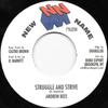 7-дюймовая пластинка ANDREW BEES - Struggle And Strive NONE New Name Muzik 2011 США Регги, Ска и Даб Б/у